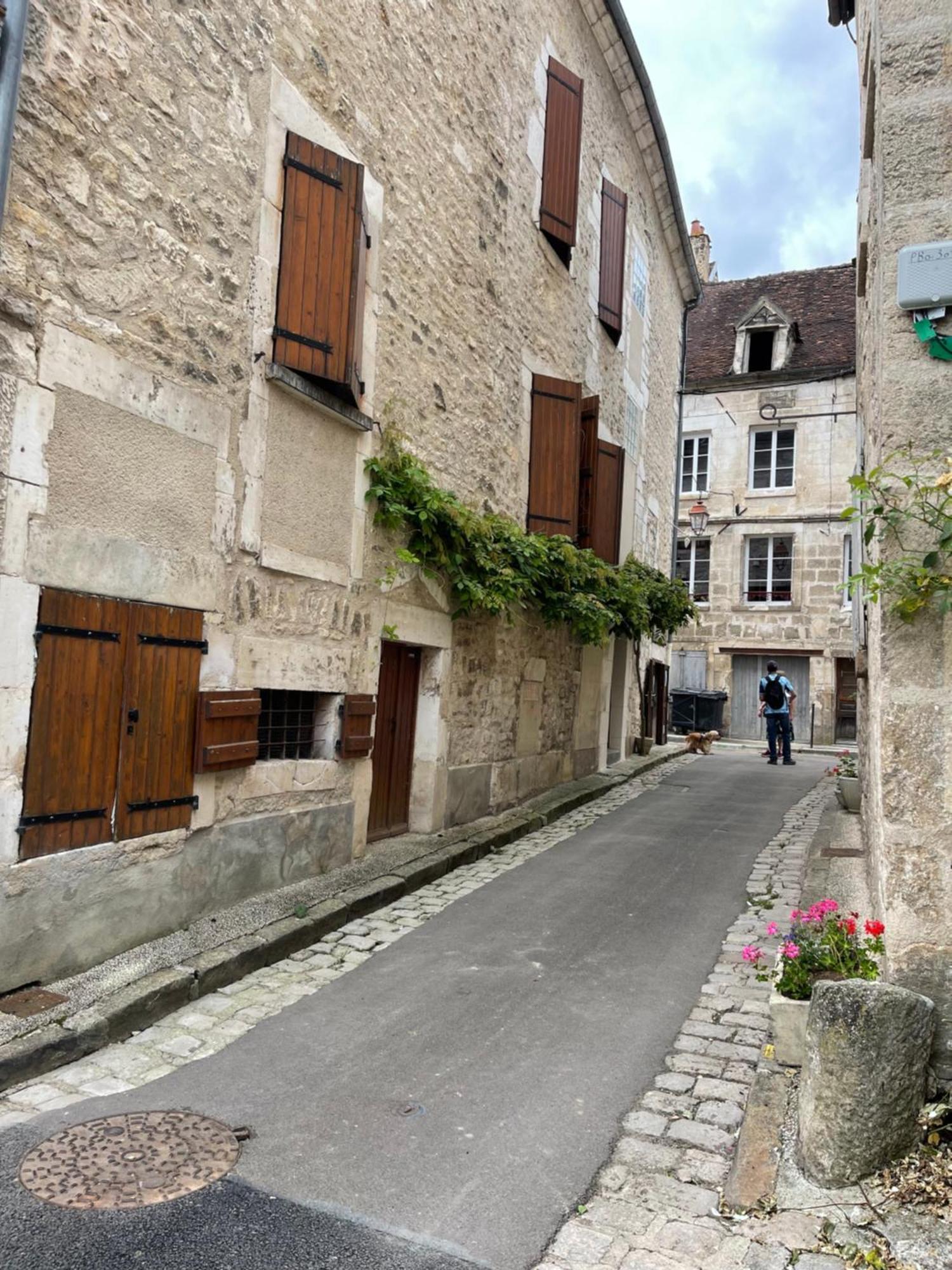 La Maison D'Alienor - Gites De Caractere A Chablis - 89 Экстерьер фото